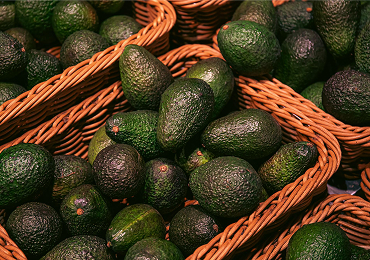 Palta Hass