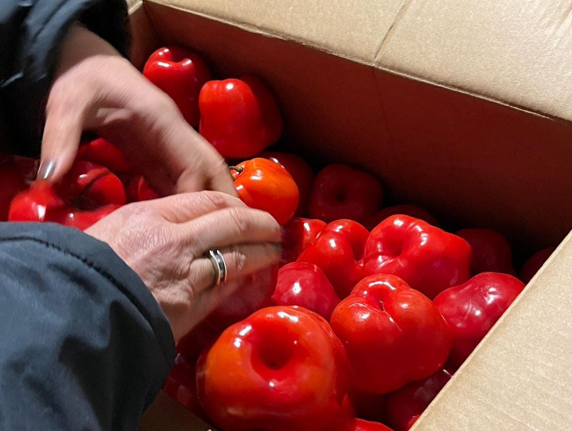 Productos Naturales Premium